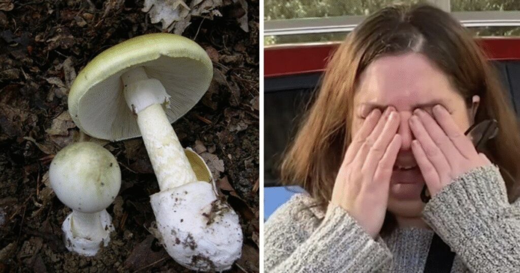 Ha avvelenato gli ex suoceri e la zia dell’ex marito con un pranzo a base di funghi velenosi: condanna all’ergastolo per Erin Patterson. Il Fatto Quotidiano. 10 Erin Patterson condannata all’ergastolo per avvelenamento con funghi