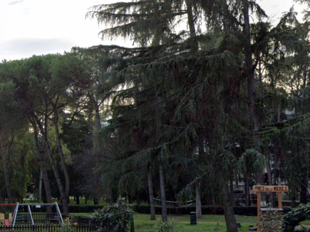 Roma: bimbo aggredito al compleanno da coetanei rom - Il Giornale