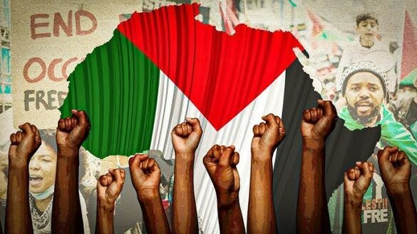 Africa e Palestina: una scelta chiara. E il Nord mondiale?